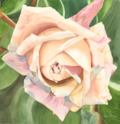 Original Watercolor by Anne Hanna